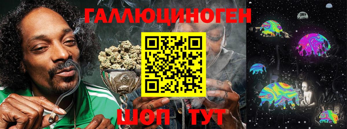 Галлюциногенные грибы Psilocybine cubensis Усинск
