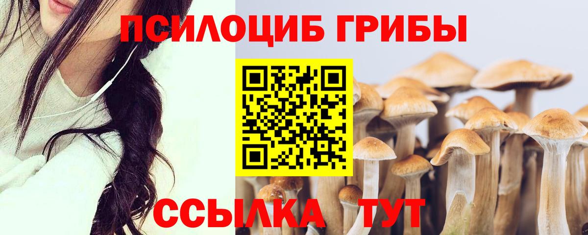 Усинск  Псилоцибиновые грибы Psilocybine cubensis  Вход с VPN 